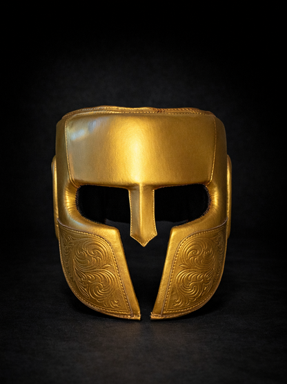 PREVAIL™ Spartan Headgear